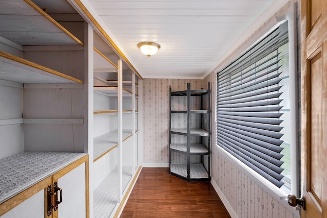 7464 Harrington Pl, Lyles, TN 37098 - view of storage area