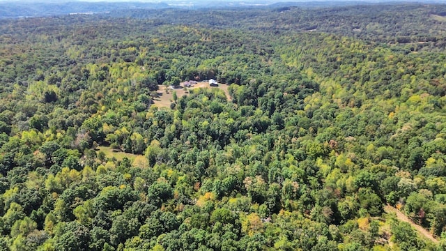 7464 Harrington Pl, Lyles, TN 37098 - aerial overview of property's location with a forest