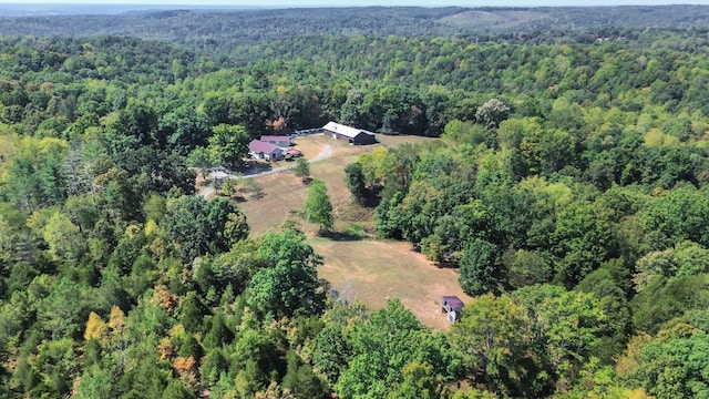 7464 Harrington Pl, Lyles, TN 37098 - aerial view of property and surrounding area with a forest
