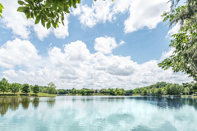 347 Blockade Ln, Mount Juliet, TN 37122 - water view