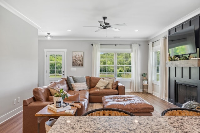 8035 Auburntown Rd, Auburntown, TN 37016 - living room featuring wood finished floors, ceiling fan, crown molding, baseboards, and a fireplace