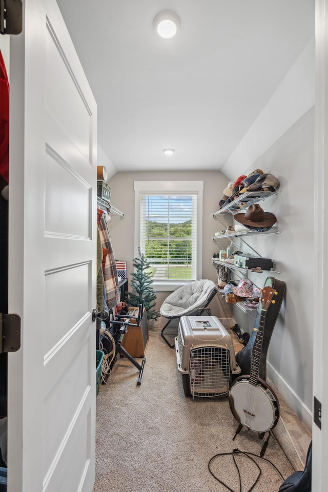 8035 Auburntown Rd, Auburntown, TN 37016 - view of storage room
