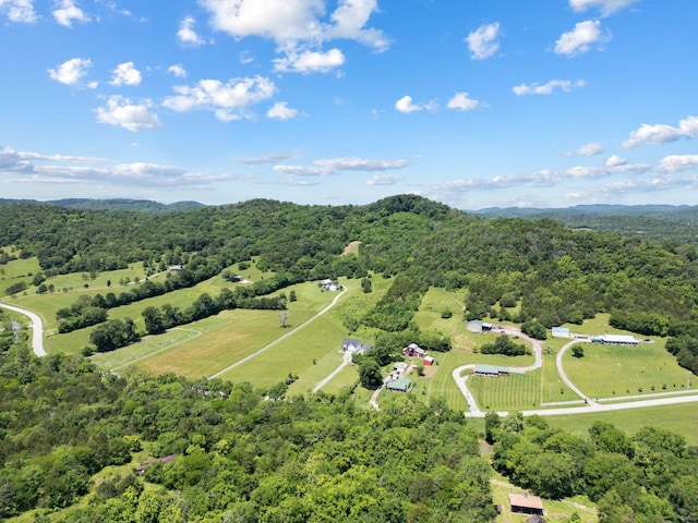 8035 Auburntown Rd, Auburntown, TN 37016 - aerial view of sparsely populated area featuring a forest