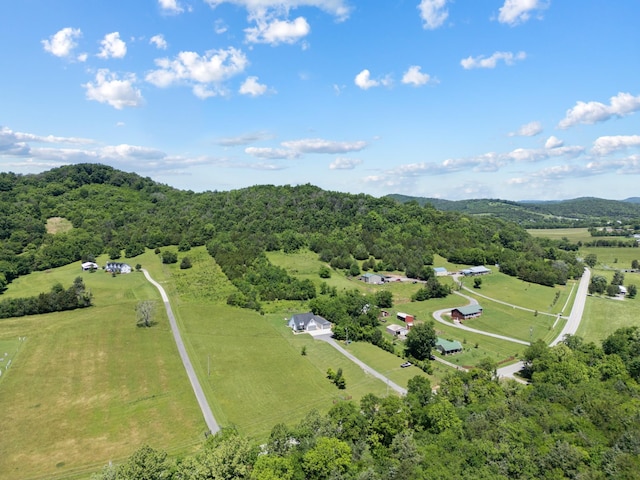 8035 Auburntown Rd, Auburntown, TN 37016 - overview of rural landscape featuring a heavily wooded area