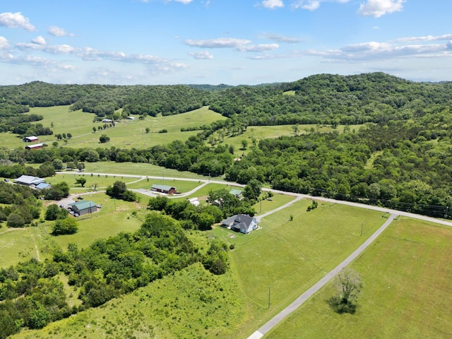 8035 Auburntown Rd, Auburntown, TN 37016 - overview of rural landscape with a forest