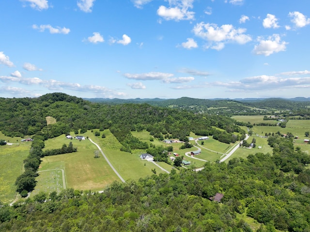 8035 Auburntown Rd, Auburntown, TN 37016 - view of rural area featuring a forest and a mountainous background