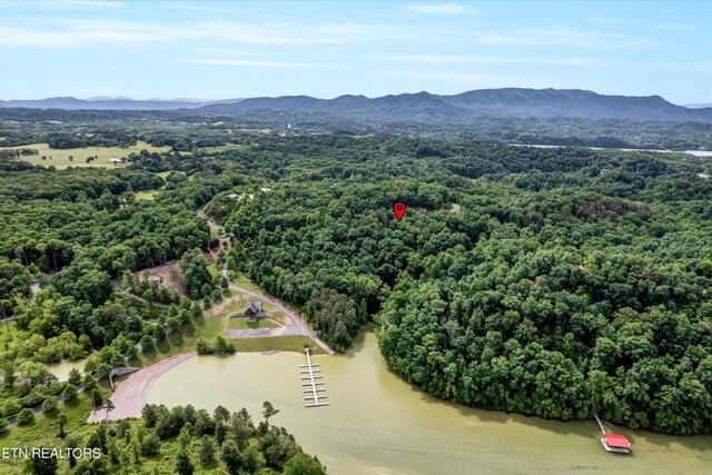 111 Tranquility Trl, Dandridge, TN 37725