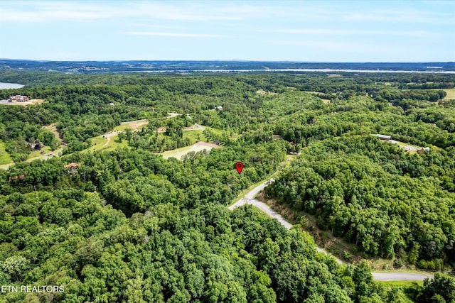 111 Tranquility Trl, Dandridge, TN 37725