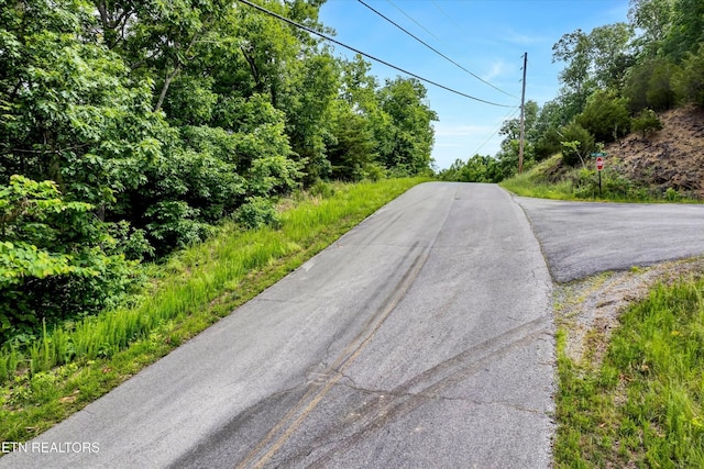 111 Tranquility Trl, Dandridge, TN 37725