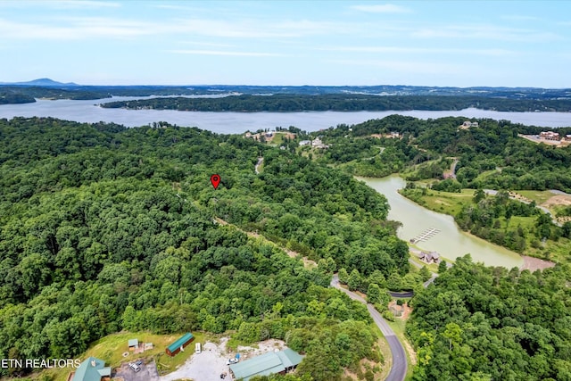 111 Tranquility Trl, Dandridge, TN 37725