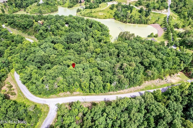 111 Tranquility Trl, Dandridge, TN 37725