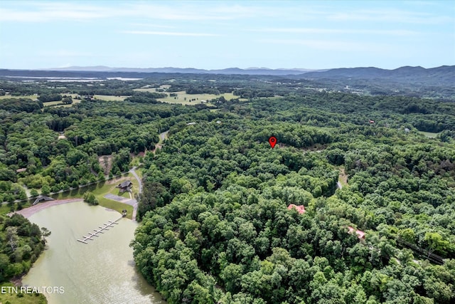 111 Tranquility Trl, Dandridge, TN 37725
