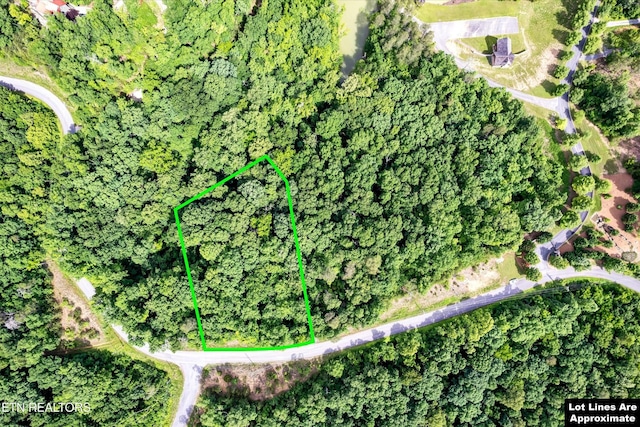111 Tranquility Trl, Dandridge, TN 37725