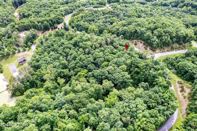 111 Tranquility Trl, Dandridge, TN 37725