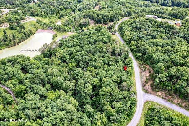 111 Tranquility Trl, Dandridge, TN 37725
