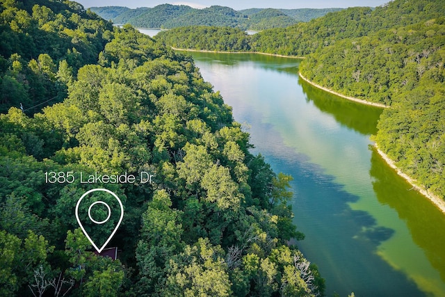 1385 Lakeside Dr, Smithville, TN 37166 - photo 11