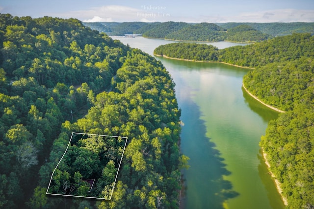 1385 Lakeside Dr, Smithville, TN 37166 - photo 2
