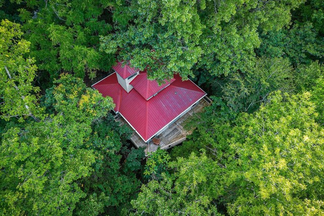 1385 Lakeside Dr, Smithville, TN 37166 - photo 3