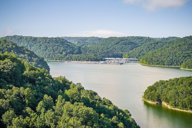 1385 Lakeside Dr, Smithville, TN 37166 - photo 12