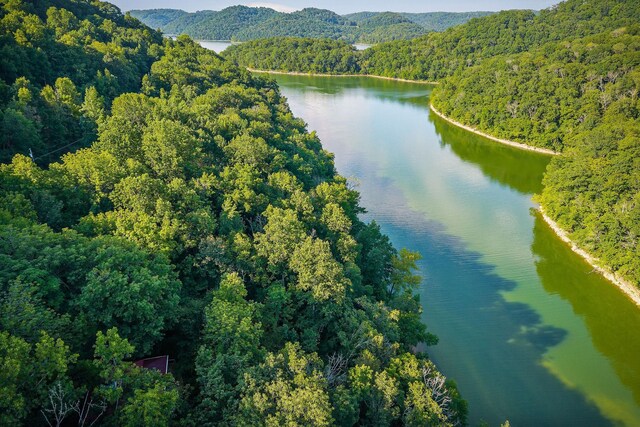 1385 Lakeside Dr, Smithville, TN 37166 - photo 10