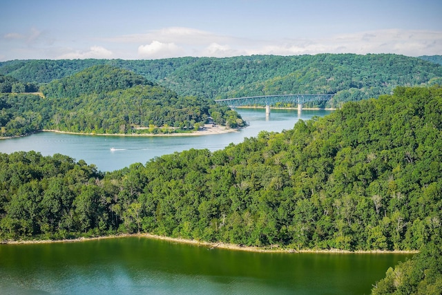 1385 Lakeside Dr, Smithville, TN 37166 - photo 13
