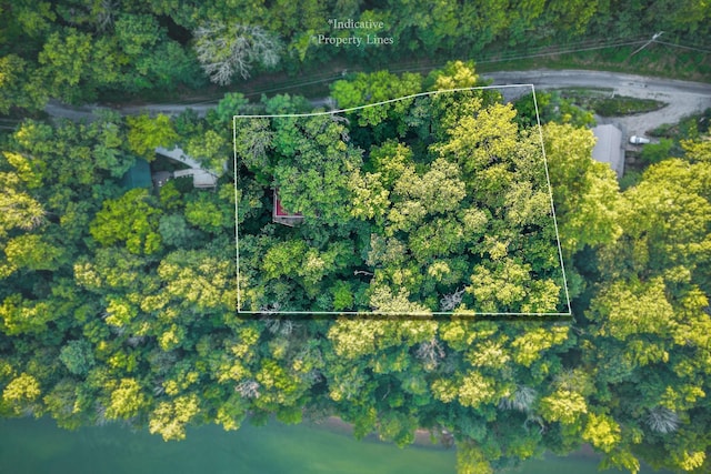 1385 Lakeside Dr, Smithville, TN 37166 - photo 8