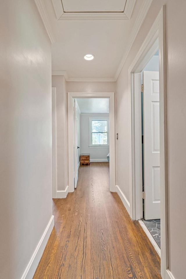 1135 Riverwood Dr, Nashville, TN 37216 - corridor with wood finished floors, baseboards, and crown molding
