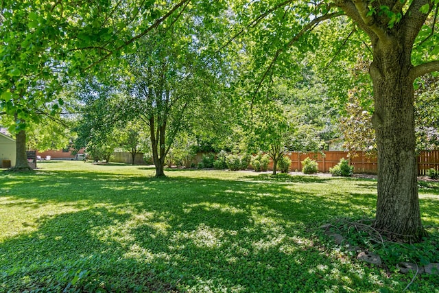 1135 Riverwood Dr, Nashville, TN 37216 - view of yard