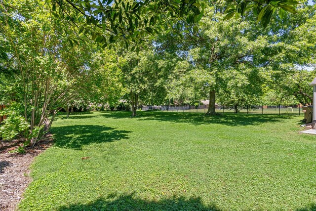 1135 Riverwood Dr, Nashville, TN 37216 - view of yard