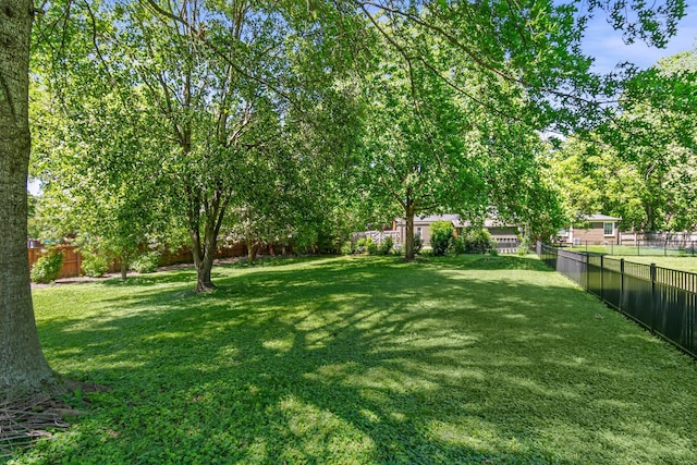 1135 Riverwood Dr, Nashville, TN 37216 - view of yard