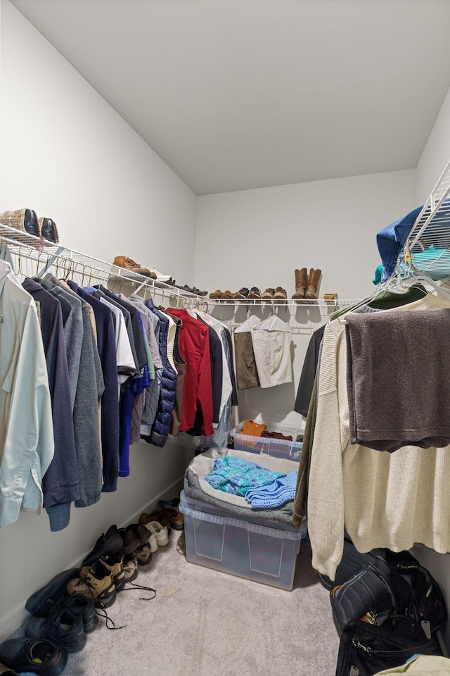 503 Gingerwood Ln, Hendersonville, TN 37075 - spacious closet featuring carpet flooring