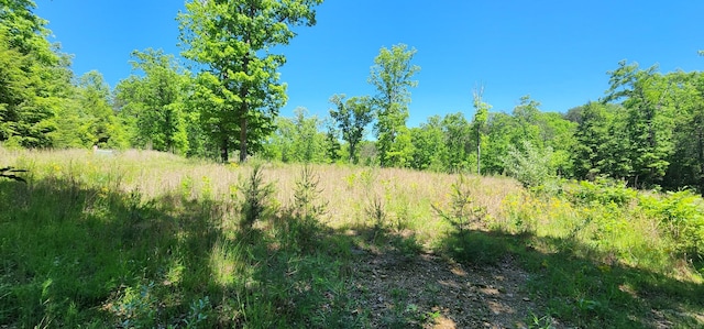 449 Q Switch Rd, Tracy City, TN 37387
