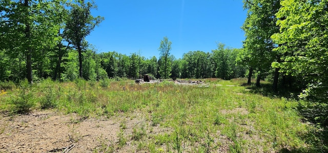 449 Q Switch Rd, Tracy City, TN 37387