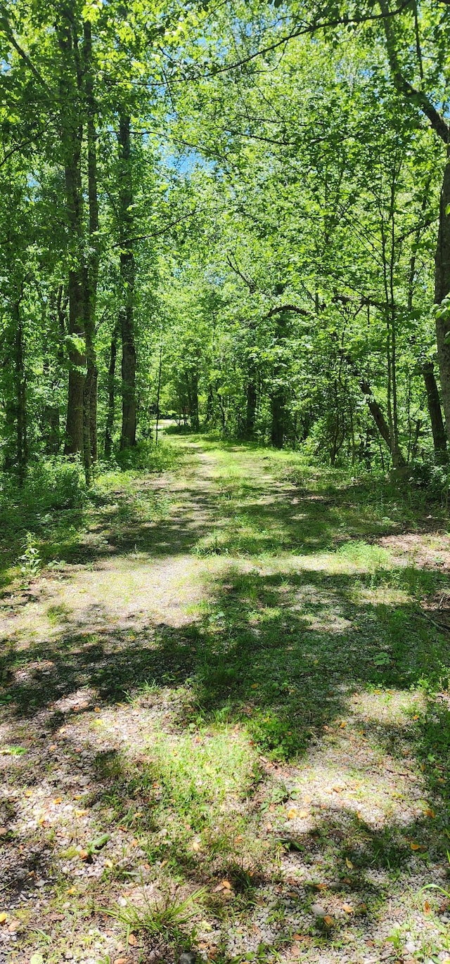 449 Q Switch Rd, Tracy City, TN 37387