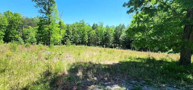 449 Q Switch Rd, Tracy City, TN 37387