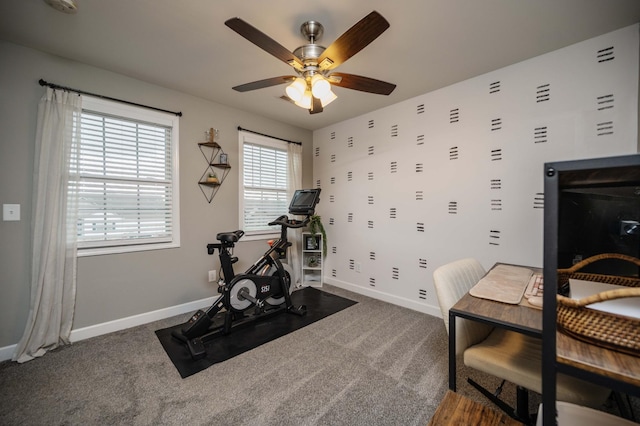 4526 Culpepper Cir, Murfreesboro, TN 37129 - workout room featuring ceiling fan, baseboards, and carpet