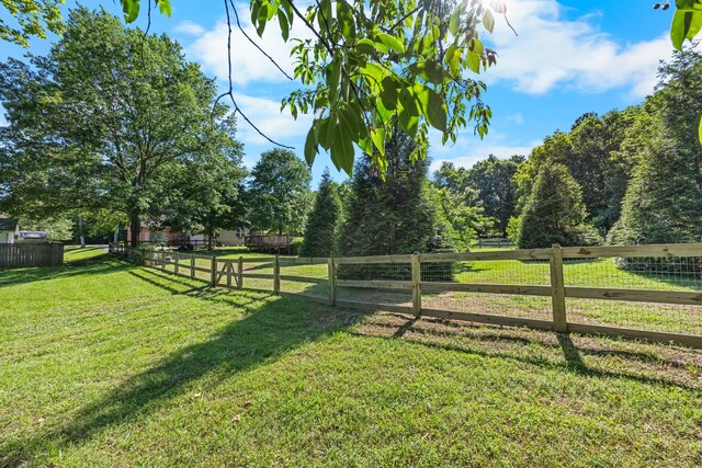 346 Lynnford Dr, Murfreesboro, TN 37128 - view of yard
