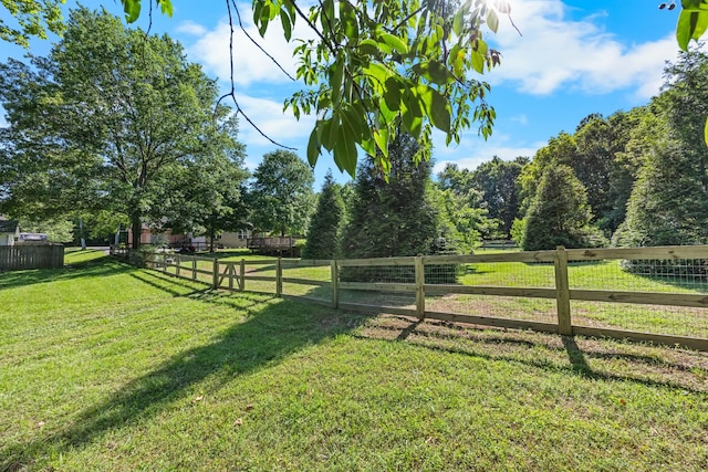 346 Lynnford Dr, Murfreesboro, TN 37128 - view of yard