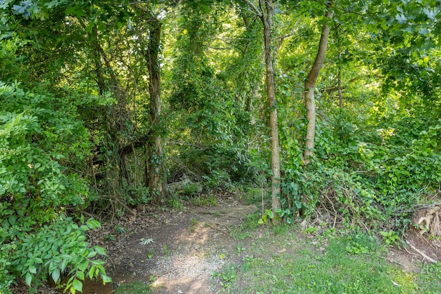 346 Lynnford Dr, Murfreesboro, TN 37128 - view of woods