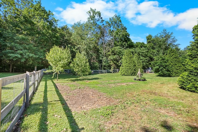346 Lynnford Dr, Murfreesboro, TN 37128 - view of yard