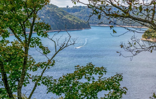 470 Askin Ln, Baxter, TN 38544 - water view