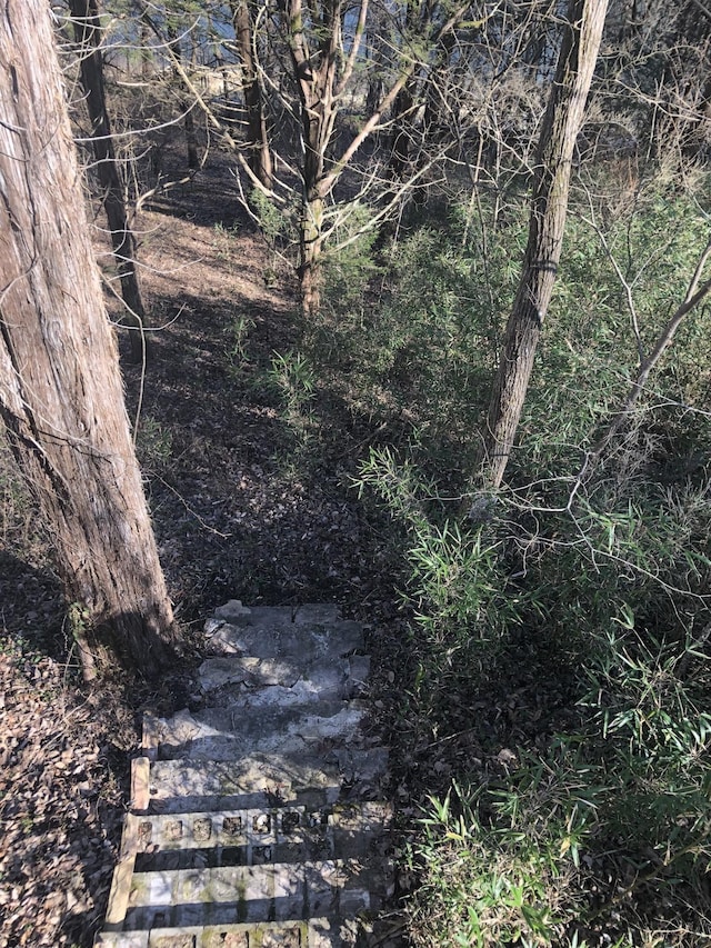 470 Askin Ln, Baxter, TN 38544 - view of local wilderness