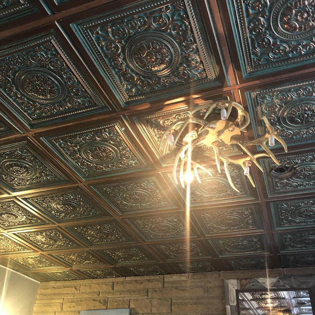 470 Askin Ln, Baxter, TN 38544 - detailed view of an ornate ceiling