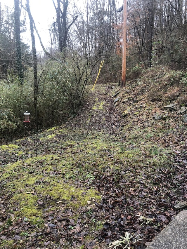 470 Askin Ln, Baxter, TN 38544 - view of yard