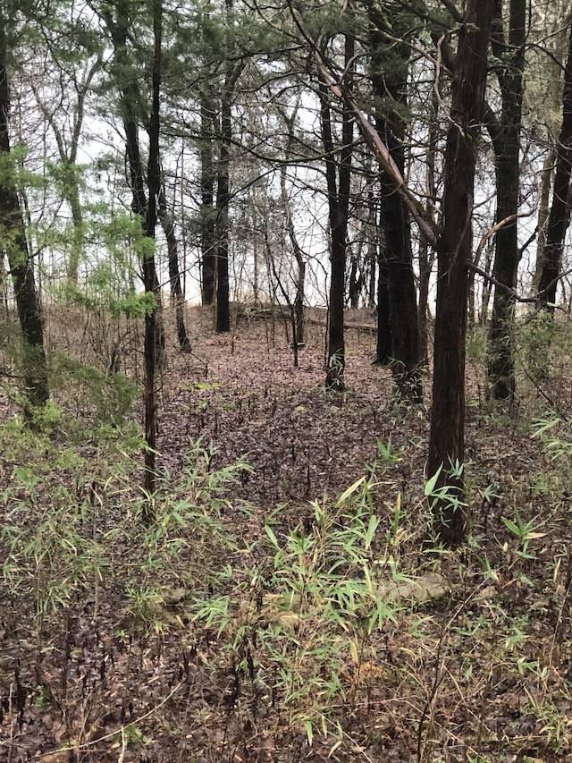 470 Askin Ln, Baxter, TN 38544 - view of local wilderness