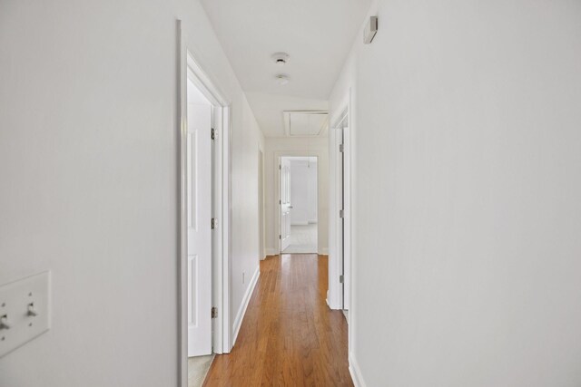 3511 Blaze Dr, Murfreesboro, TN 37128 - hallway featuring attic access, light wood-style floors, and baseboards