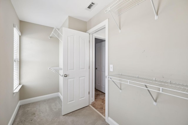 3511 Blaze Dr, Murfreesboro, TN 37128 - walk in closet with light carpet