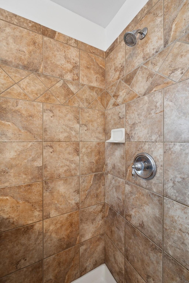 3511 Blaze Dr, Murfreesboro, TN 37128 - bathroom view of a tile shower