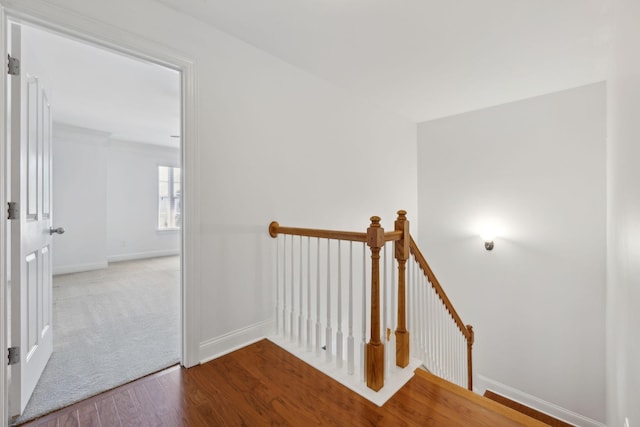 3511 Blaze Dr, Murfreesboro, TN 37128 - staircase with wood finished floors and baseboards
