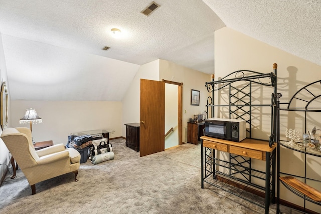 505 Shirley Rd, Smyrna, TN 37167 - office featuring lofted ceiling, a textured ceiling, and carpet floors